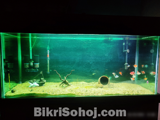 Aquarium Sell